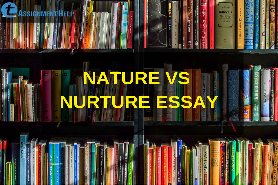 write an essay on nature versus nurture