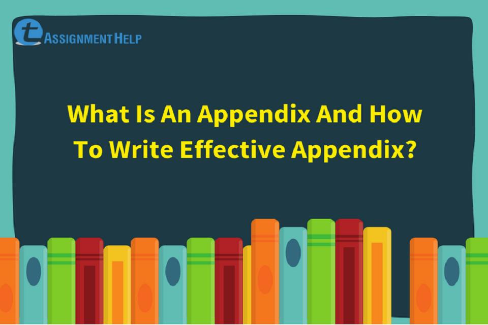 what is an appendix used for in assignment writing