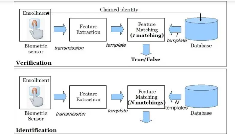 Biometric-system-architecture-2