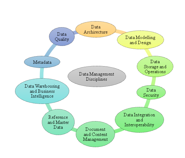 Data Management Disciplines in Thomason 2022 pp