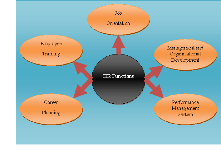 Different HR Functions in an Organisation HRM assignment