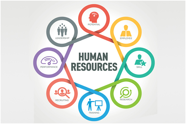 HR Processes and Responsibilities HRM assignment