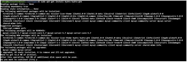 Installation-and-Launch-of-Hydra-in-IT-Security-Assignment