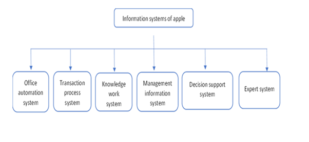 MIS systems in Apple in information system assignment