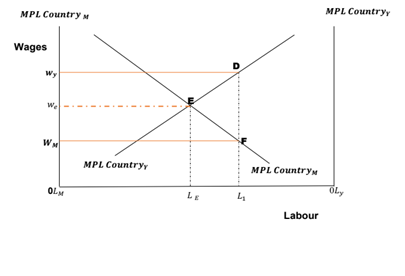 Marginal Productivity of Labour