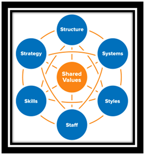McKinsey-7s-Framework-strategic-management-assignment