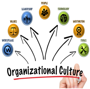 Organisational Culture in economics assignment