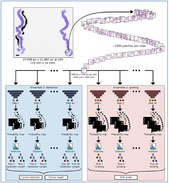 Overview-of-the-artificial-intelligence 