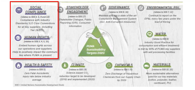 PUMA 10 for 20 Sustainable Targets in digital marketing assignment