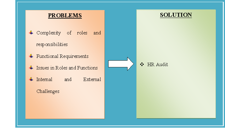 Problems and Solution of HR Issues and Challenges HRM assignment