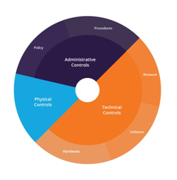 Specific-Action-Plan-in-project-management-assignment