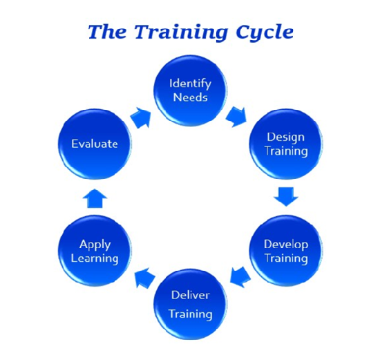 Systematic Training Cycle in talent management assignment