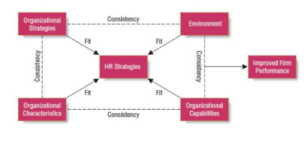The-training-assessment-and-selection-practice-of-Microsoft-HR-department