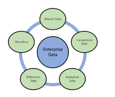 Types of Data in data management assignment