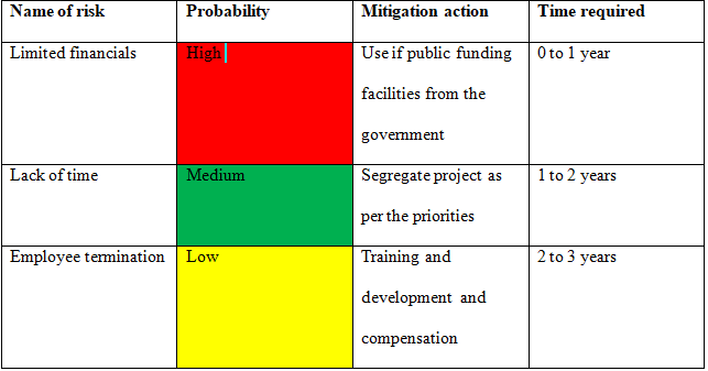 Risk mitigation in business strategy assignment