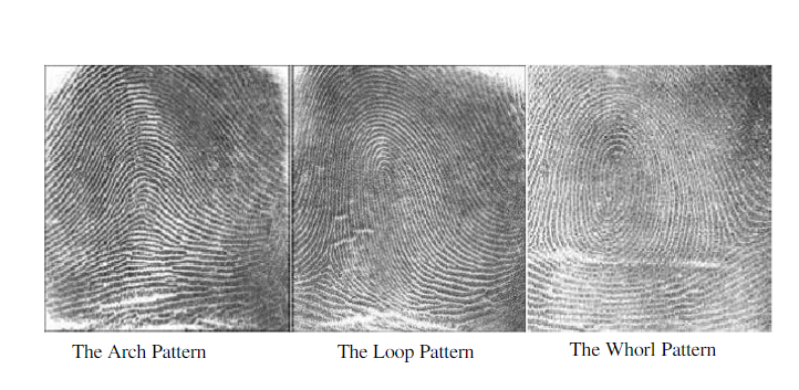 picture-of-scanned-fingerprint