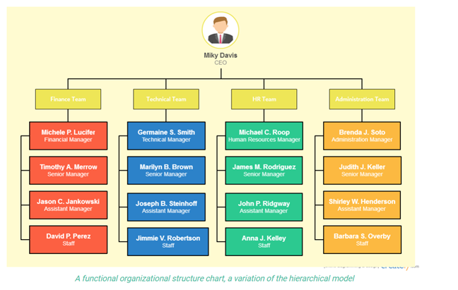 showing the functional organizational structure of the organization